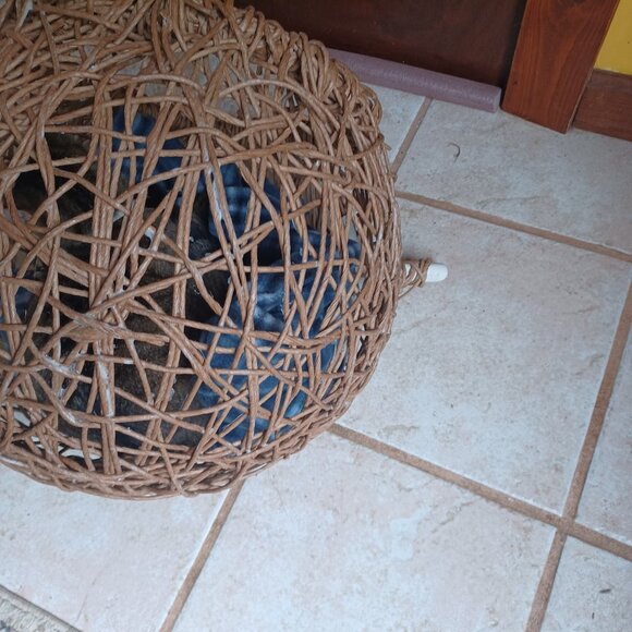 Handmade FiberRush Cat/Dog Bed - Picture 11 of 16